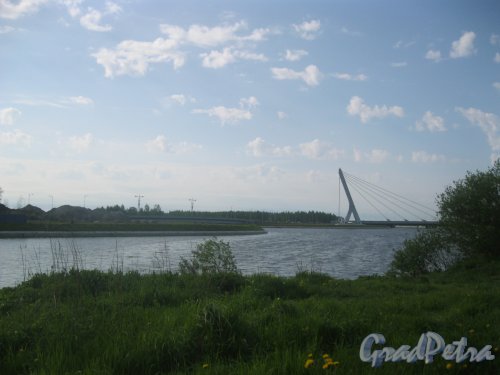 Дудергофский канал у Южно-Приморского парка. Вид в сторону ул. Маршала Захарова. Фото 27 мая 2015 г.