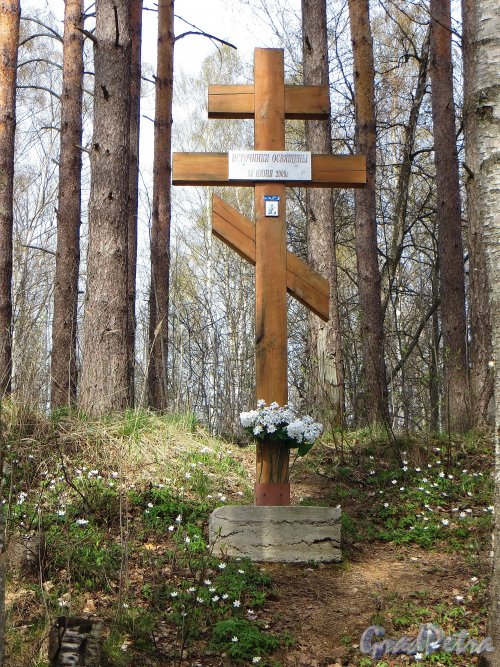 СНТ «Бавария». Освященные родники. Поклонный крест. Фото 28 апреля 2014 года.