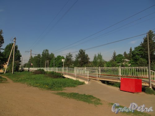 поселок Ириновка, железнодорожная платформа «Ириновка». Фото 25 мая 2014 года.