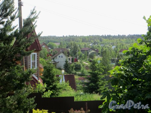 Лен. область, Всеволожский район, поселок Хиттолово. Вид в сторону Садовой улицы. Фото 14 июня 2014 года.
