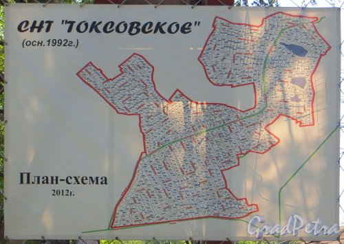 Общий план СНТ «Токсовское». Фото 8 июля 2014 года.