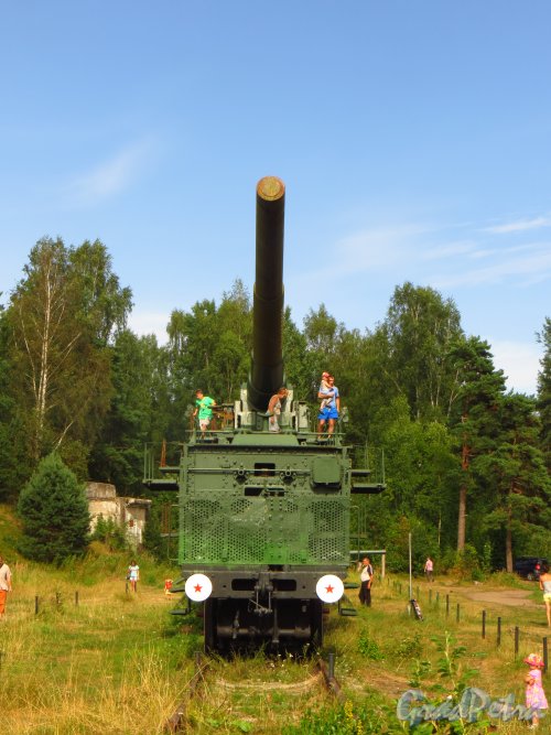 Форт Красная Горка. 305 мм орудие на железнодорожном транспортёре. Вид сбоку. Фото 9 августа 2014 года.