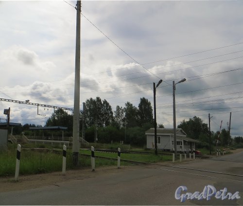 Железнодорожный переезд линии железной дороги «Заневка — Павлово-на-Неве» в посёлке Карьер-Мяглово. Фото 8 июля 2015 года.