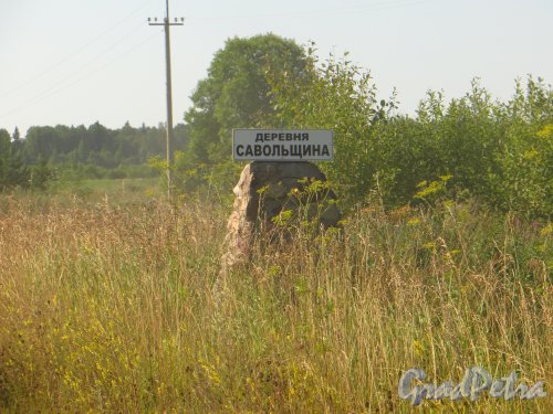 Лен. область, Ломоносовский р-н, указатель деревни Савольщина. Фото 5 августа 2014 года.