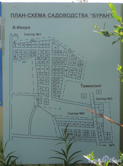 Лен. область, Ломоносовский р-н, деревня Таментонт. План-схема садоводства «Буран». Фото 22 июня 2016 года.