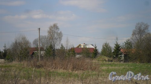 Волосовский район, деревня Арбонье. Панорама населенного пункта со стороны леса в сторону Кикерино. Фото 2 мая 2016 года.