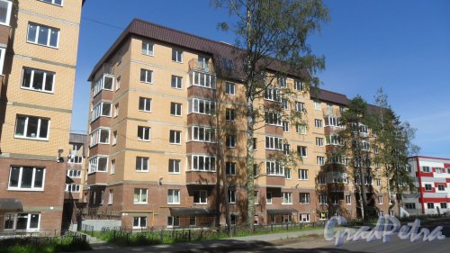 Всеволожск, Христиновский проспект, дом 83. ЖК «Христиновский», корпус 2. 6-этажный жилой дом 2016 года постройки на 109 квартир. Фото 4 августа 2016 года.