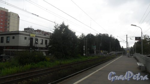 Всеволожск, Бернгардовка, железнодорожная станция Бернгардовка. Фото 15 августа 2016 года.
