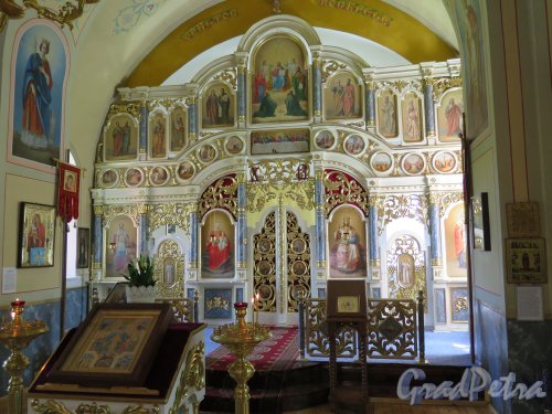 Церковь Николая Чудотворца в Котлах, Иконостас. фото июль 2015 г.
