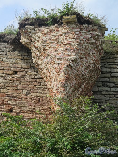 Шлиссельбург, г. Крепость Орешек. Фрагмент остатков стены. фото август 2015 г.