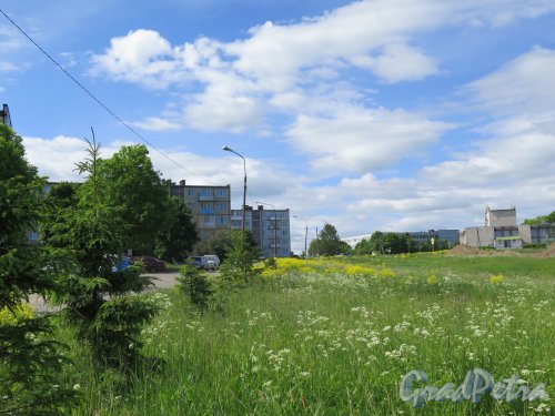 Деревня Оржицы. Общий вид застройки с Гостилицкого шоссе. фото июнь 2016 г. 