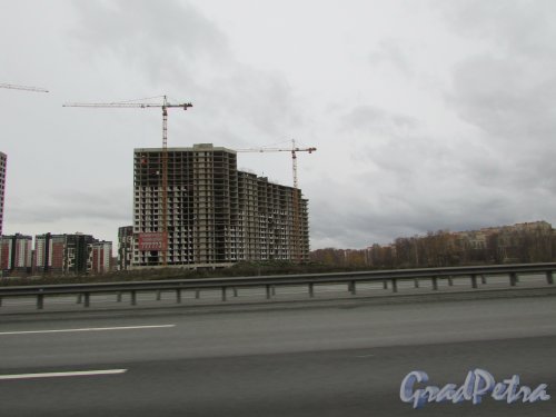 Лен. Область, город Кудрово, строящийся жилой комплекс «Европейский парк». Фото 26 октября 2019 года.