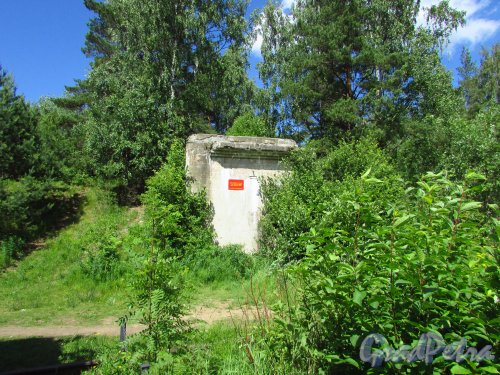 Форт «Красная Горка». Артиллерийская батарея № 3 (10-ДМ (245 мм)). Фото 20 июня 2016 года.
