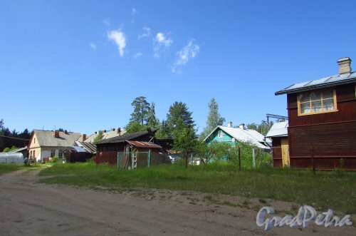 Частные дома у ж/д станции «Краснофлотск». Фото - июня 2016 года.