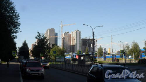 Проспект Королева. Панорама проспекта в сторону новостроек от улицы Шаврова. Фото 20 августа 2015 года.