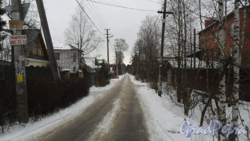 Перспектива проспекта Толстого от Всеволожского проспекта в сторону Колтушского шоссе