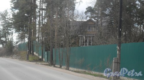 г. Всеволожск, проспект Льва Толстого, дом 7. Фото 24 апреля 2016 года.