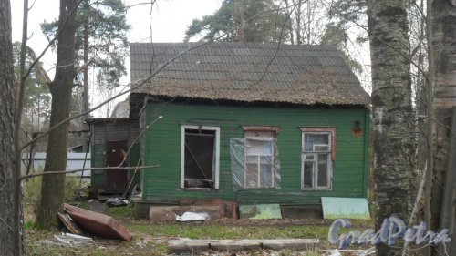 Всеволожск, Октябрьский проспект, дом 64. Фото 30 апреля 2016 года.