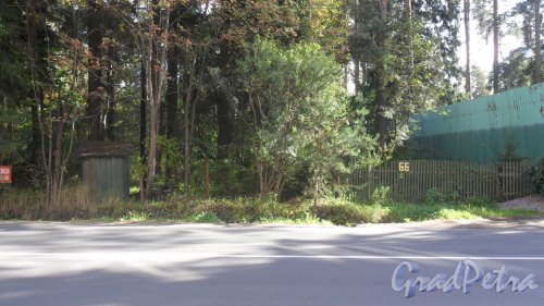 Всеволожск, Христиновский проспект, дом 66. Фото 19 сентября 2016 года.