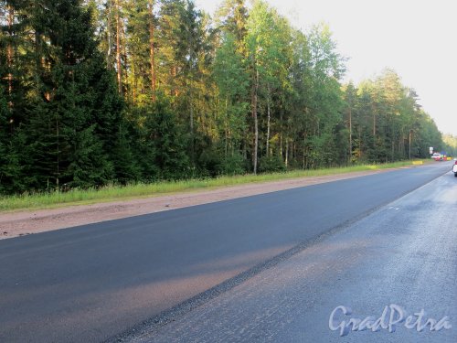 Укладка нового слоя асфальта на шоссе «Скандинавия». Участок от города Выборга до МАПП «Торфяновка». Фото 19 июля 2014 года.