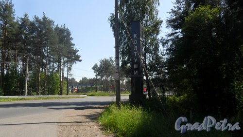 Кальтино. Колтушское шоссе. Въезд в деревню Кальтино со стороны Всеволожска. Фото 3 июля 2015 года.
