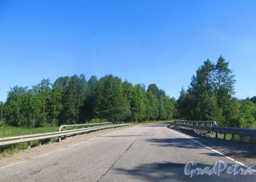 Трасса 41К-185 (Комсомольское - Приозерск) на участке между посёлком Возрождение и посёлком Перевозное. Фото 4 июля 2015 года.