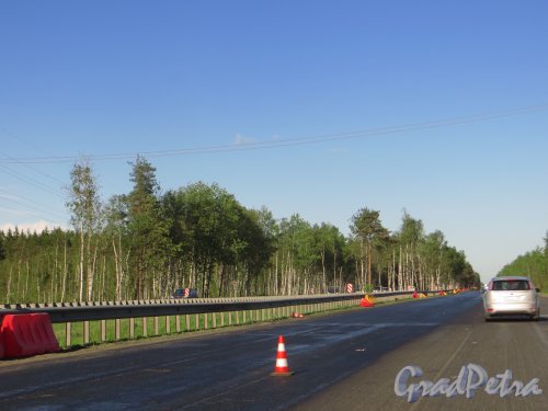 Ремонт дорожного покрытия Федеральной автомобильной дороги М-18 «Кола» с обустройством водостоков, на участке дороги из Петербурга в сторону Колтушского шоссе. Фото 8 июня 2015 года.