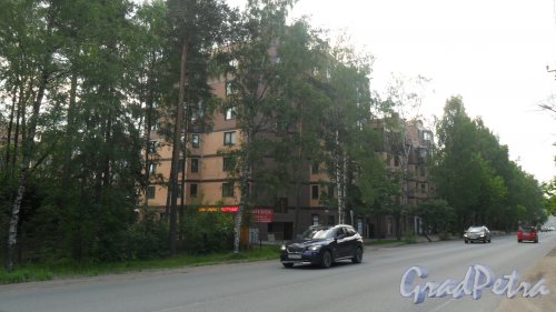 Ленинградская область, город Всеволожск. Колтушское шоссе, дом 124, корпус 1. Фото 18 июля 2015 года.