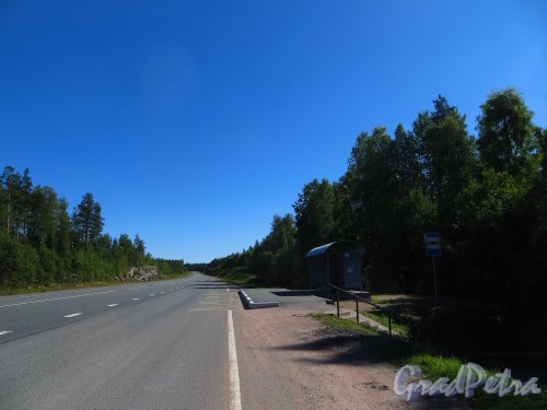 Трасса А-181 (Е-18 «Скандинавия»). Остановка СНТ «Большой Лог». Фото 17 августа 2015 года.