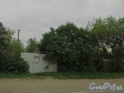 Лен. область, Всеволожский район, шоссе Дорога Жизни, дом 66. Фото 25 мая 2014 года.