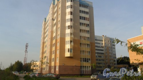 Деревня Кальтино, Колтушское шоссе, дом 19, корпус 2. 10-этажный жилой дом серии 600.11 2013 года постройки. Фото 21 августа 2016 года.