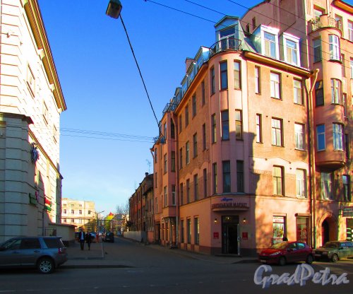 Перспектива  Малой Разночинной улицы от Чкаловского проспекта в сторону Малого проспекта. Фото 1 мая 2016 года.