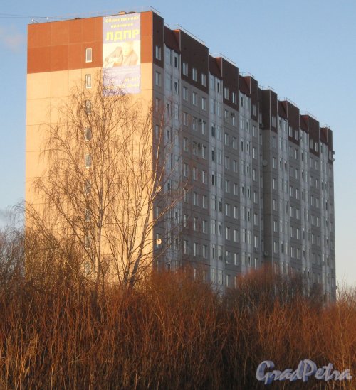 Лен. обл., Гатчинский р-н, г. Гатчина, ул. Чехова, дом 26. Общий вид здания. Фото 29 ноября 2013 г. 