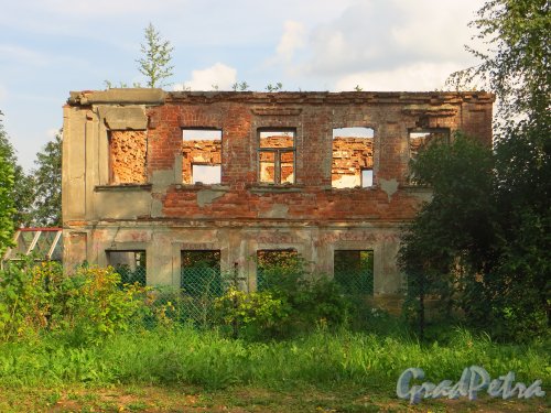 Лен. обл., Гатчинский р-н, Антропшинская улица, дом 220. Развалины здания. Фото 29 июня 2014 года.