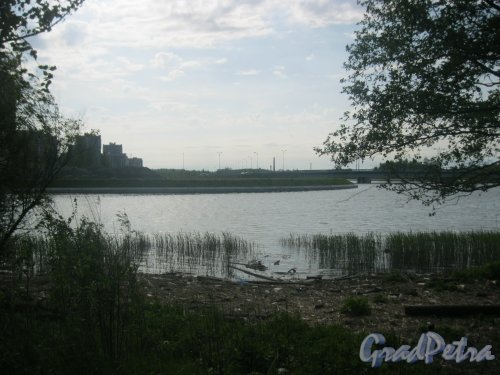 Дудергофский канал у Южно-Приморского парка. Вид в сторону ул. Катерников. Фото 27 мая 2015 г.
