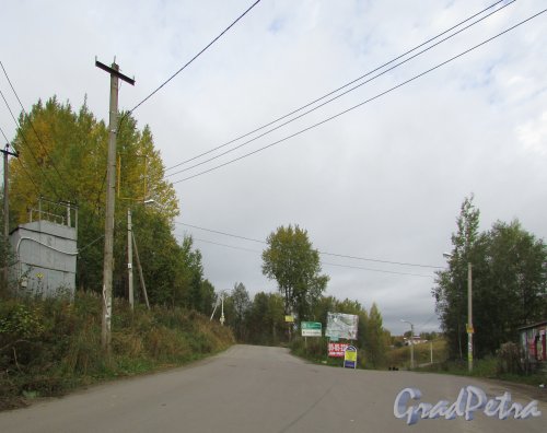 Всеволожский район, деревня Мендсары. Развилка Дороги на Мендсары (справа) и Лесной улицы (слева). Фото 30 сентября 2015 года.