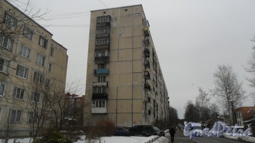 Всеволожск, улица Плоткина, дом 15. 9-этажный жилой дом 1977 года постройки. 5 парадных, 180 квартир. Фото 4 марта 2016 года.
