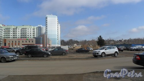 Всеволожск, микрорайон Южный. Панорама Крамской улицы от Московской улицы в сторону улицы Малиновского. Фото 10 апреля 2016 года.