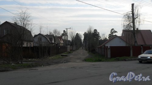 Всеволожск, улица Озерная. Панорама улицы от улицы Плоткина. Фото 30 апреля 2016 года.
