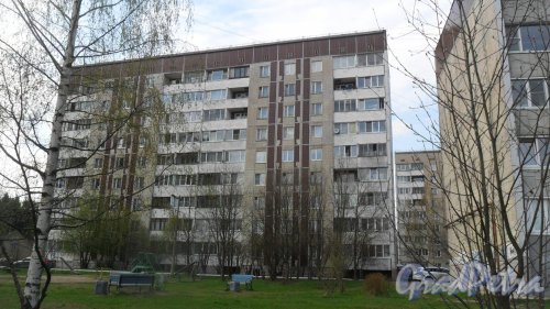 Всеволожск, улица Ленинградская, дом 3. 9-этажный жилой дом 121 серии 1988 года постройки. 2 парадные, 72 квартиры. Фото 30 апреля 2016 года.
