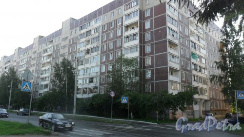 Всеволожск, улица Ленинградская, дом 11. 9-этажный жилой дом 1988 года постройки. 9 парадных, 331 квартира. Фото 20 июня 2016 года.