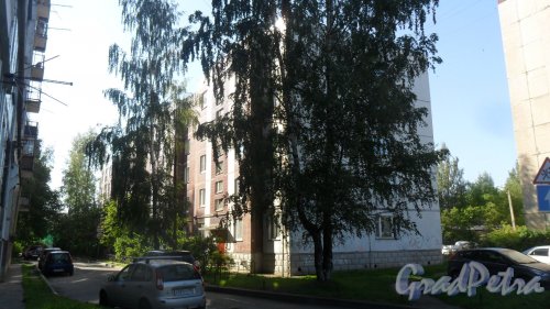 Всеволожск, улица Вокка, дом 1. 5-этажный жилой дом серии 121ЛО 1989 года постройки. 4 парадные, 60 квартир. Фото 20 июня 2016 года.
