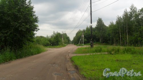 Всеволожск, улица Дорожная. Панорама улицы от шоссе Дорога Жизни. Фото 29 июня 2016 года.