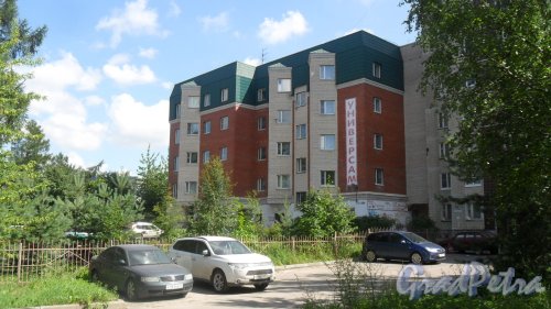Всеволожск, улица Дружбы, дом 4, корпус 4. 5-этажный жилой дом 2001 года постройки. 2 парадные, 23 квартиры. Фото 11 июля 2016 года.