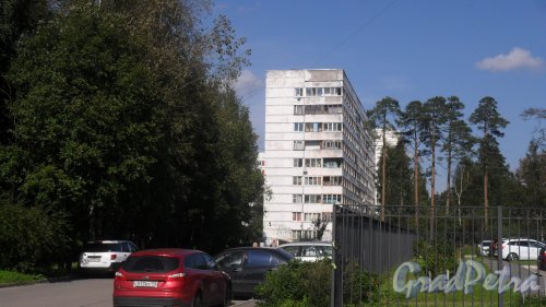 Всеволожск, улица Ленинградская, дом 21, корпус 3. 9-этажный жилой дом серии 1-ЛГ600А 1989 года постройки. 3 парадные, 108 квартир. Фото 23 августа 2016 года.