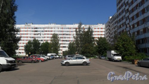 Всеволожск, улица Ленинградская, дом 21, корпус 2. 9-этажный жилой дом серии 1-ЛГ600А 1988 года постройки. 8 парадных, 286 квартир. Фото 23 августа 2016 года.