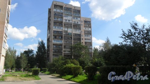 Всеволожск, улица Ленинградская, дом 19, корпус 3. 14-этажный жилой дом серии 1-528кп84 1978 года постройки. 1 парадная, 94 квартиры. Фото 23 августа 2016 года.