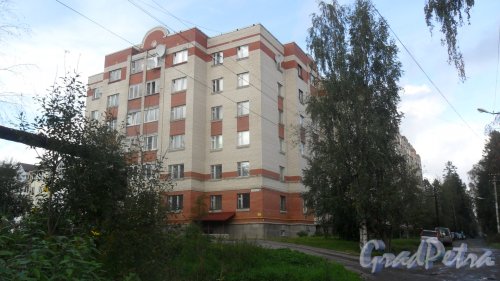 Всеволожск, Бибиковская улица, дом 17. 6-этажный жилой дом 2006 года постройки. 5 парадных, 141 квартира. Фото 11 сентября 2016 года.