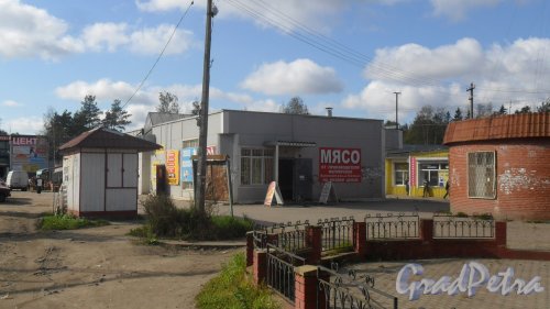 Всеволожск, улица Советская, дом 2Б. Торговый павильон. Мясной магазин и шаверма. Фото 20 сентября 2016 года.