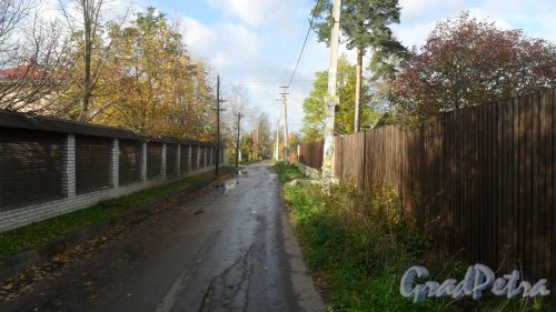 Всеволожск, перспектива Сергиевской улицы